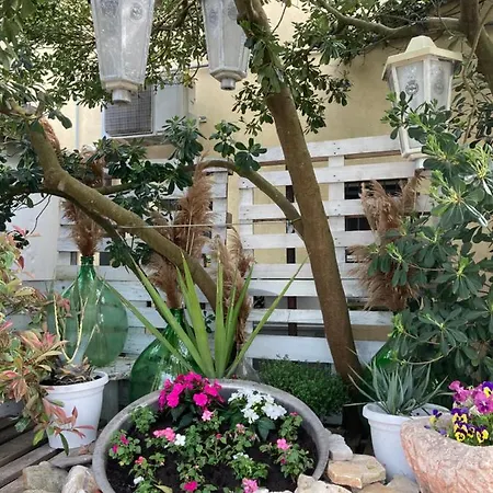 Delta House Daire Taglio di Po